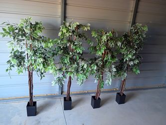 4 Artificial Ficus Tree ( Free Delivery If Needed)