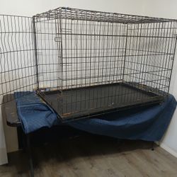 Wire DOG KENNEL / CRATE: 30"W x 48"L x 33"W.  Used for Golden Retriever. Also cat litters