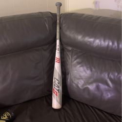Cat 8 Baseball Bat