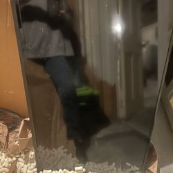 55 Inch Tv Smart One