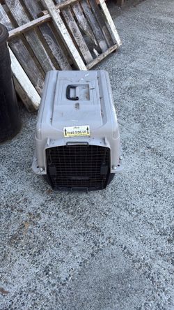 Kennel