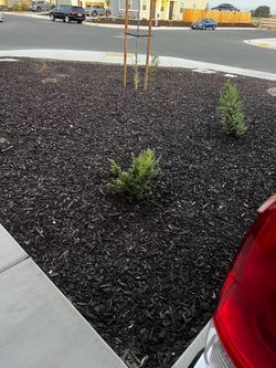 Mulch