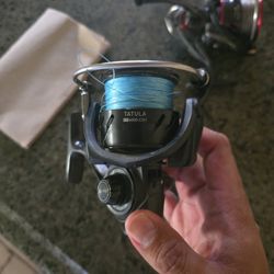 Daiwa Spinning Reels