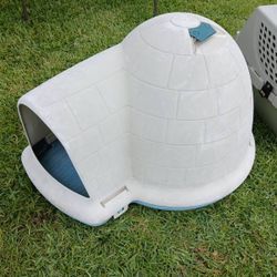 Igloo Dog Houses