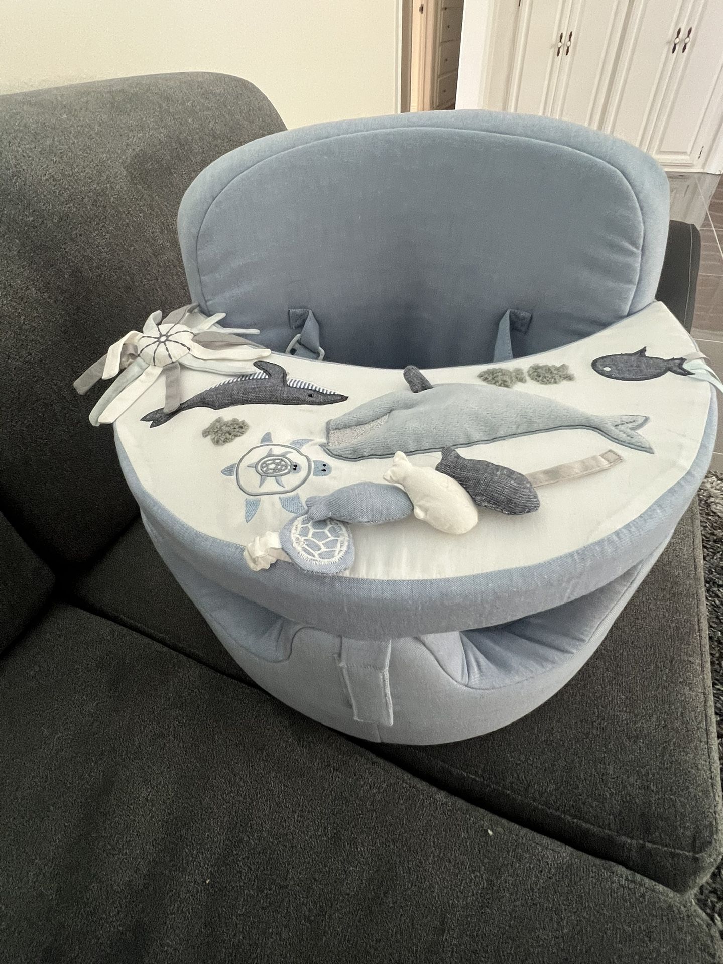 Pottery Barn Baby Activity Chair