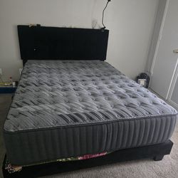 Queen Bed