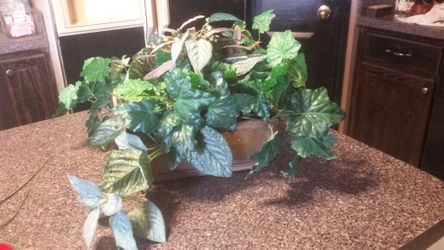 Planter. Artificial
