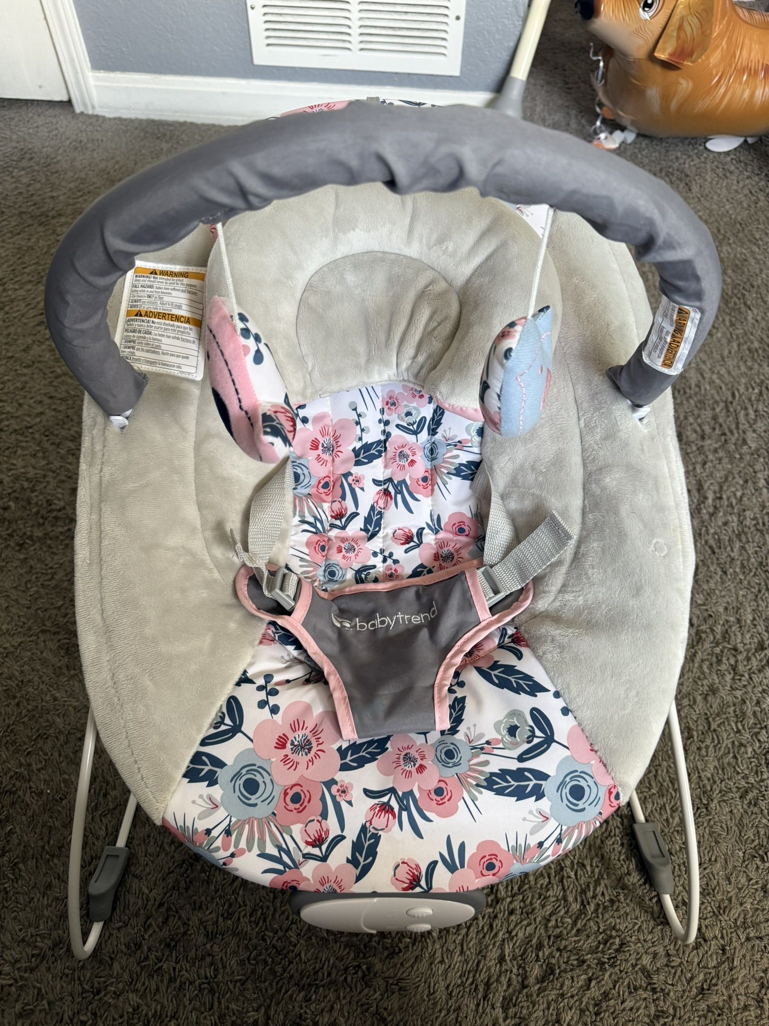 Baby Bouncer