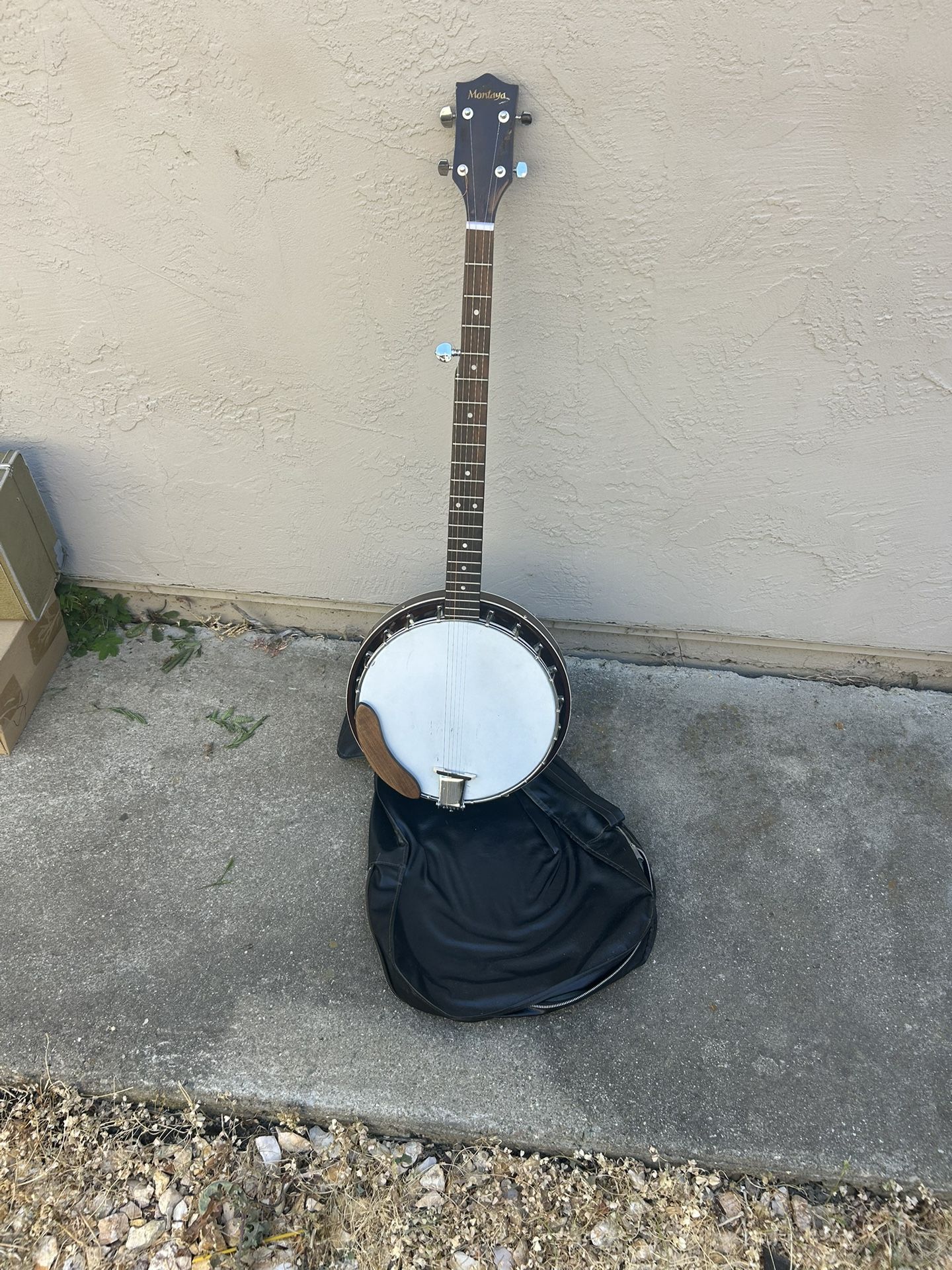 Banjo Five String