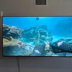 Toshiba smart firetv 65 inch