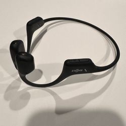 SHOKZ OpenRun Pro Headphones
