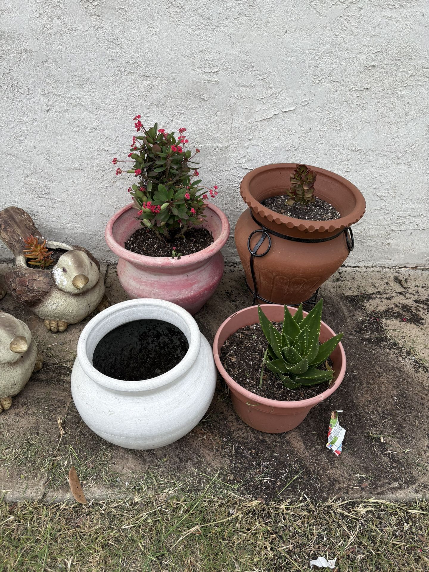 Offer Pots Different Prices