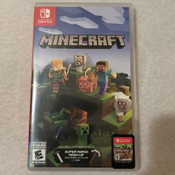 Minecraft Nintendo Game 