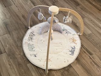 aden + anais Play+Discover Activity Gym