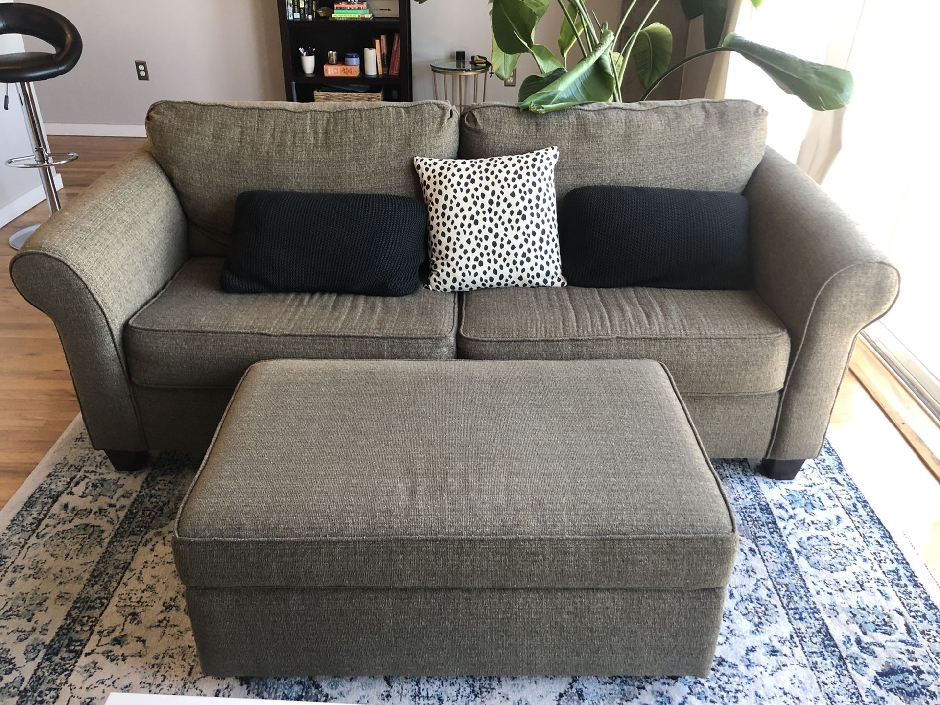 Lightly Used Pullout Couch