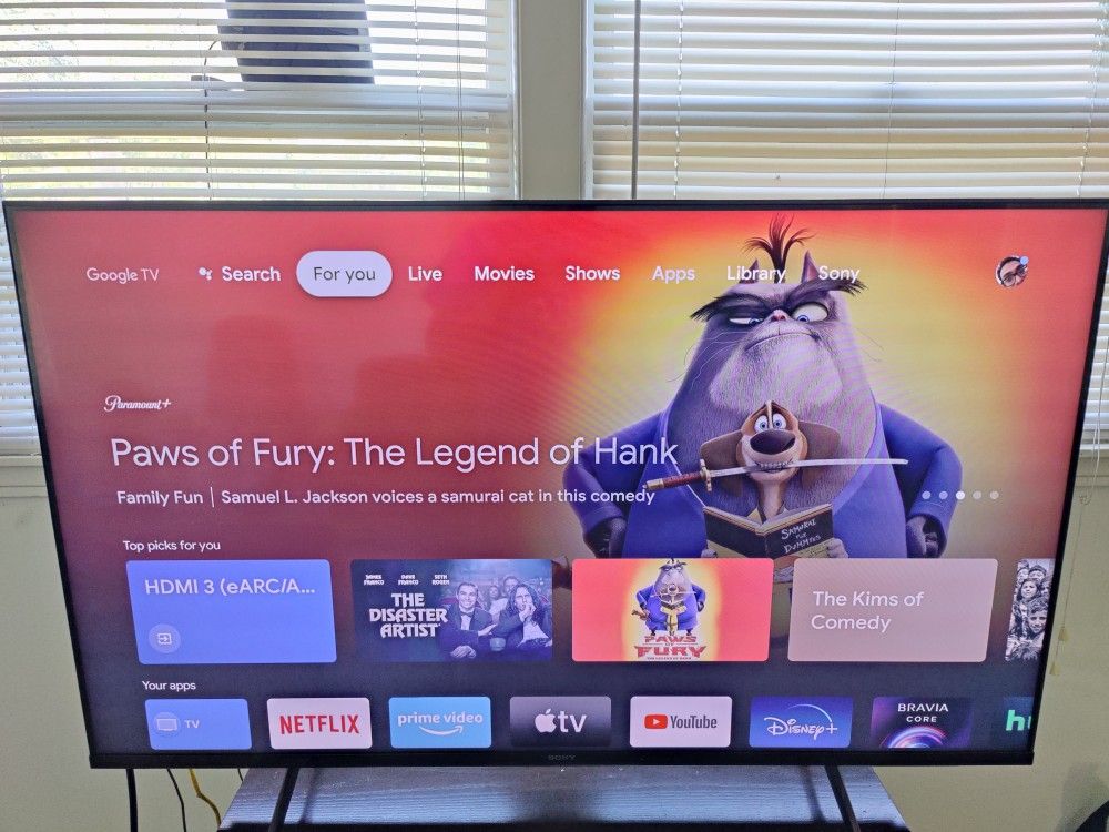 Sony X90J 50 Inch 4K TV 