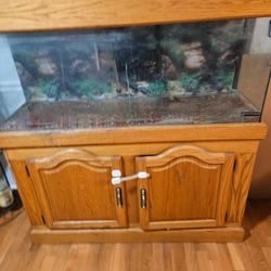 Acuarium 55 