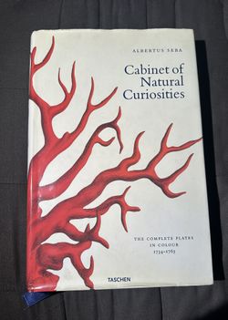 Cabinet Of Natural Curiosities 