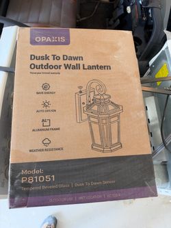 Dusk  to dawn  outdoor wall lantern