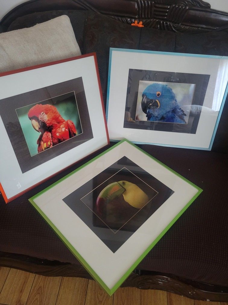 3 Picture Frame Decoration For Wall