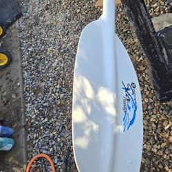 Kayak Paddle