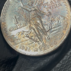 Silver Toned libertad