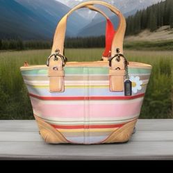 Coach Vintage Y2K Hamptons Striped Small Tote Bag