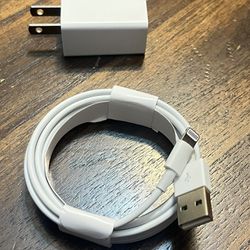 iPhone Charger Cord With Cube