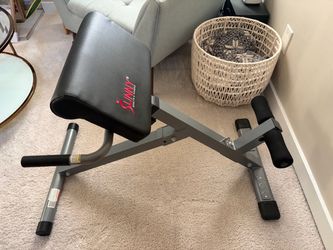 Sunny Back Extension Machine