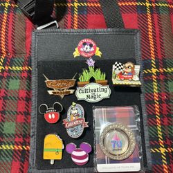 Disney Pin Lot &accessories 