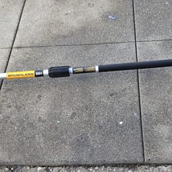 Tremer Y. Pole Saw Dewalt 