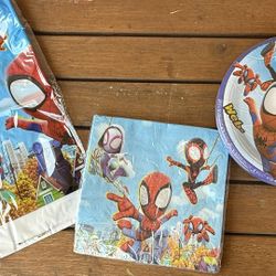 Spidey And Friends Party Decor  Decorations Spider-Man Spiderman 