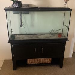 Fish Tank