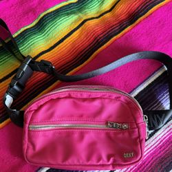 DKNY Purse