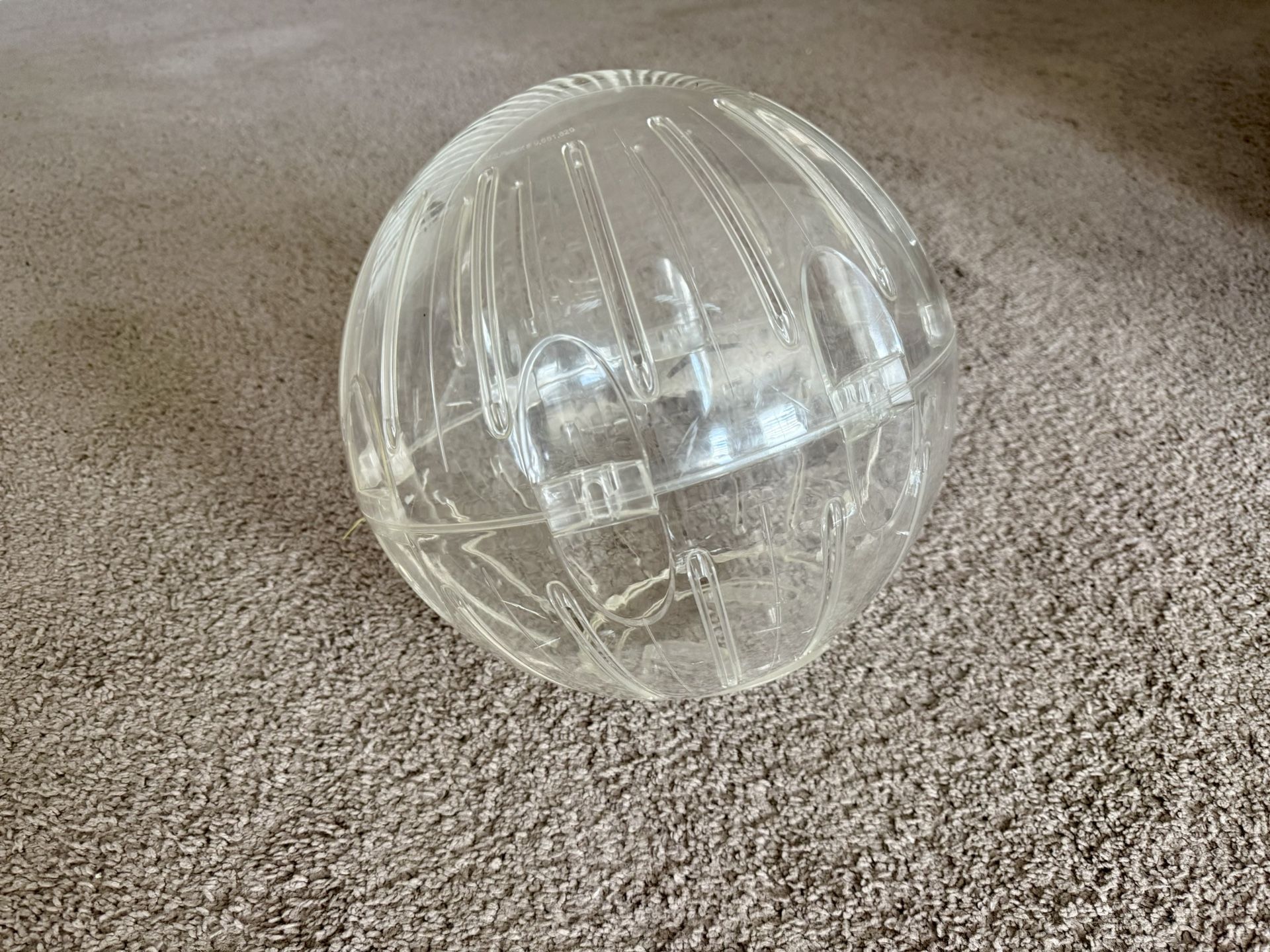 Guinea Pig Exercise Ball