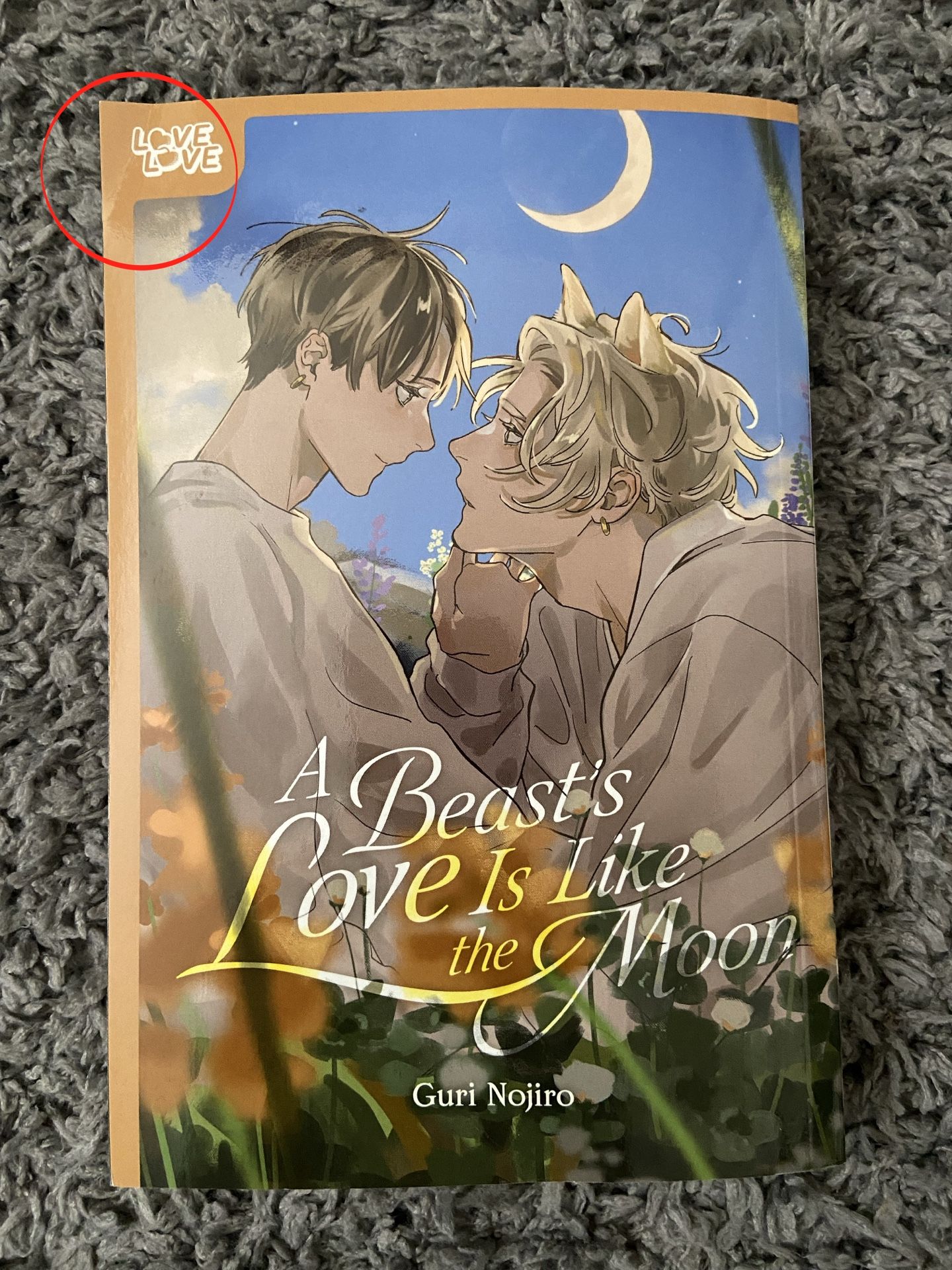 BL / Yaoi Manga