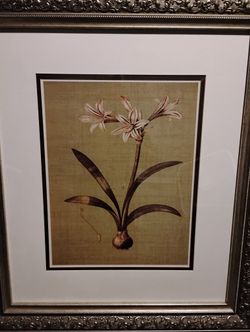 Picture With Frame. Best Offers Considered 