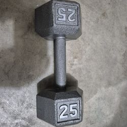 One 25 Pound Cast Iron Dumbell 