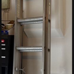 Tall Extendable Ladder