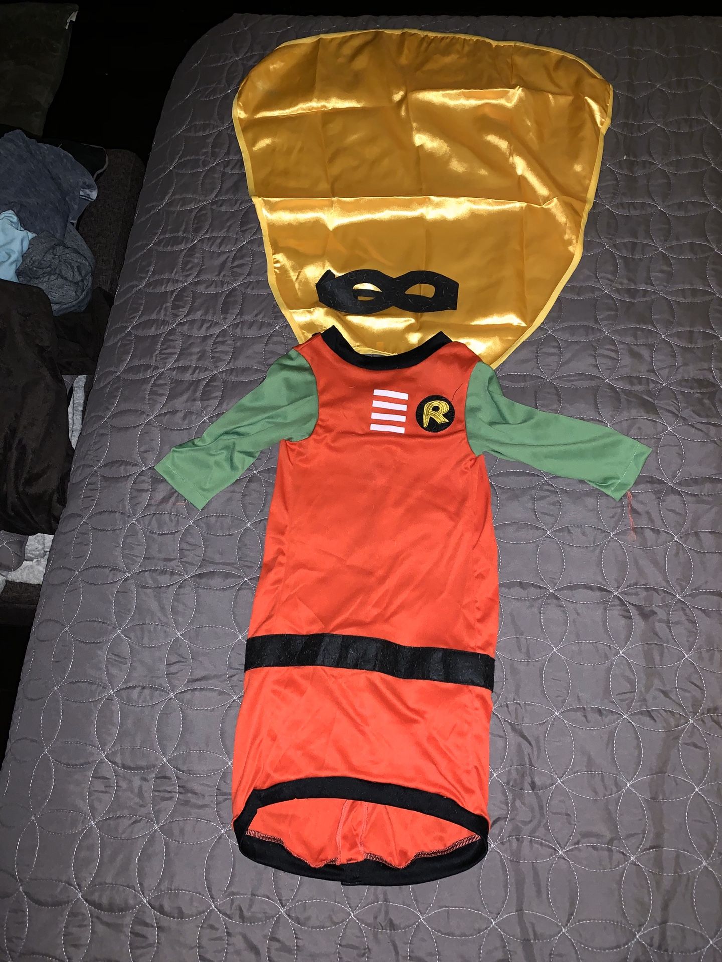 Robin dog costume