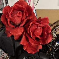 Jumbo Roses They’re About 4.5 Ft Tall