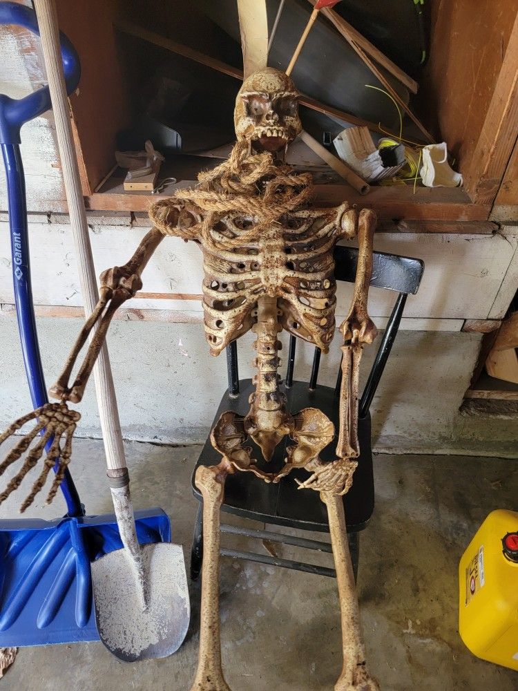 Skeleton 