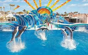 Seaworld Tickets/Boletos
