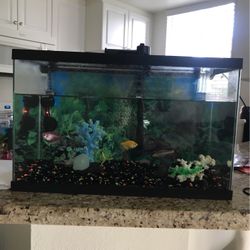 Fish Tank For Sale $80