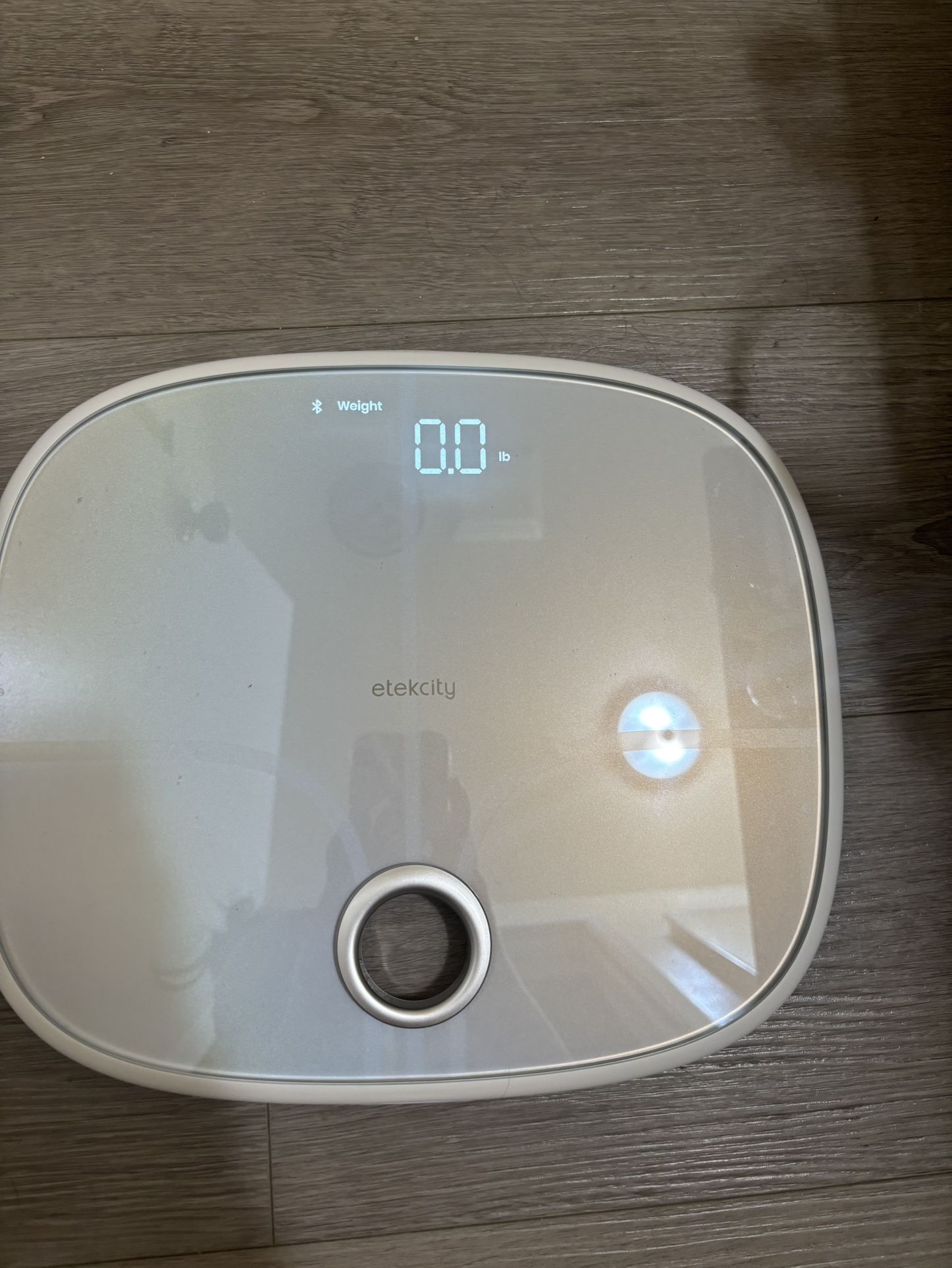 Elekcity Scale