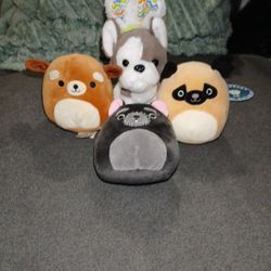 Small Squishmellow Dog Bundle + Easter Dog Plush