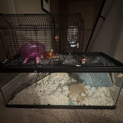 Hamster Tank With Top Cage
