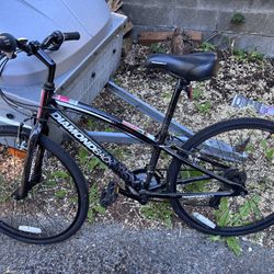 REI DiamonBack Kids Bike