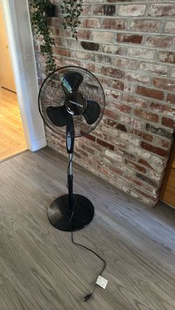Hampton Bay Standing Fan