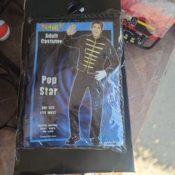 Pop Star Adult Costume